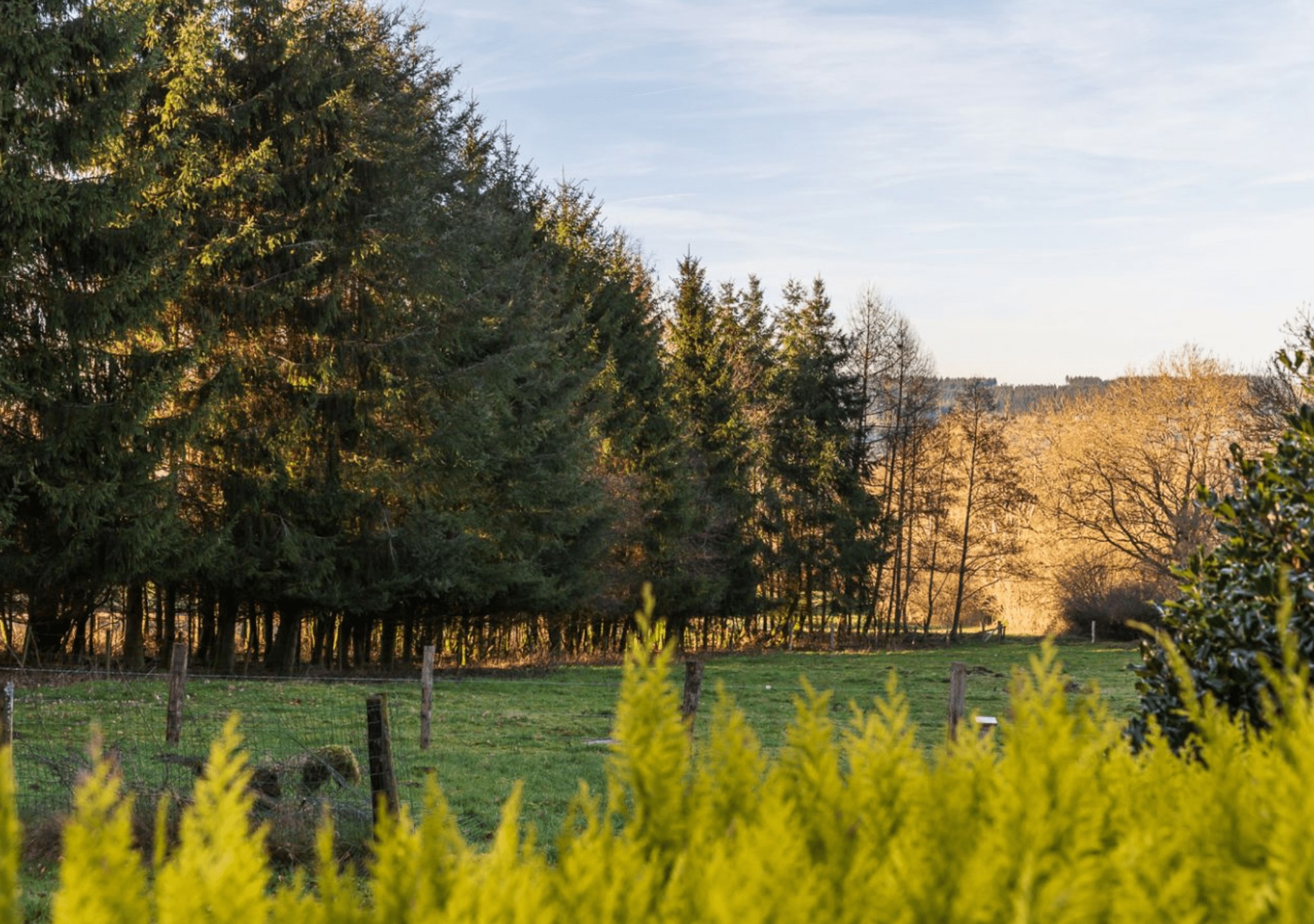 Recharge Retreat Belgien Landschaftsansicht