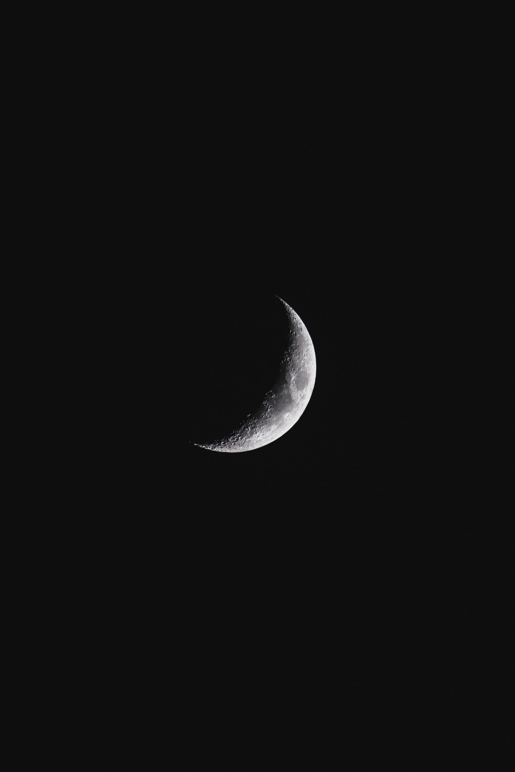 luke-stackpoole-TRXSkmJb40c-unsplash