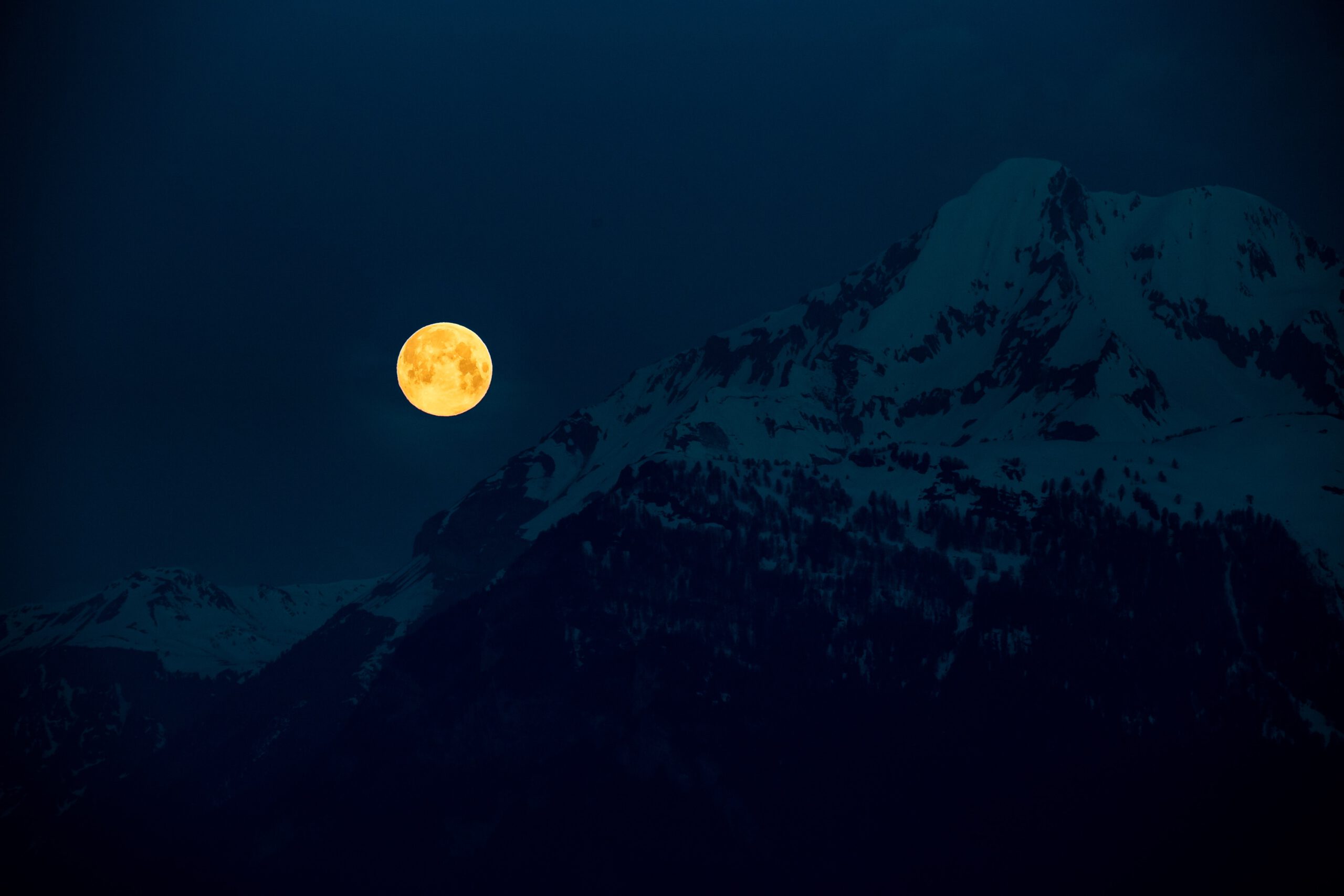 martin-adams-y1M0dZ-1Psc-unsplash